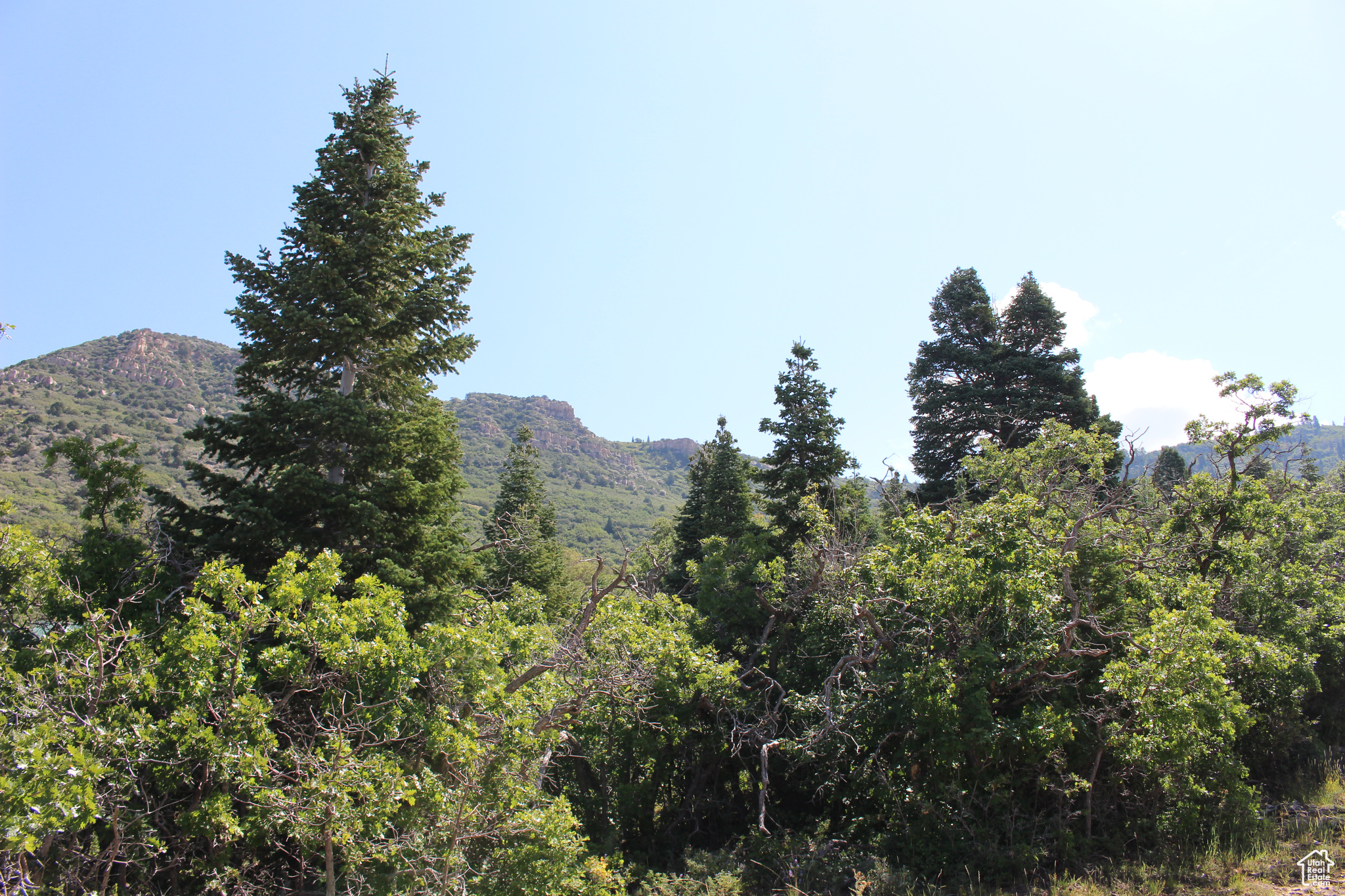 CEDAR HIGHLANDS SUBDIVISION - Land