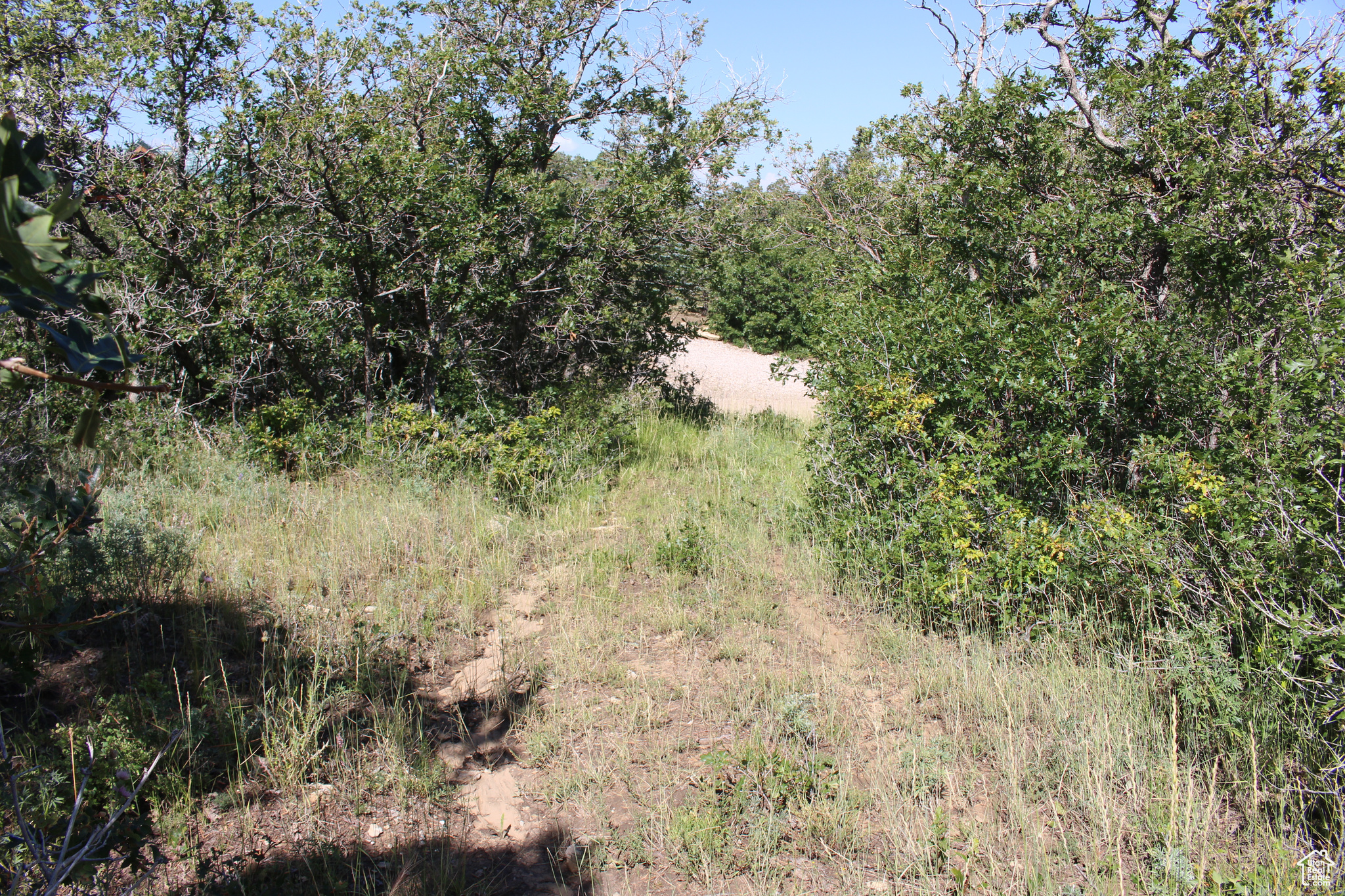 CEDAR HIGHLANDS SUBDIVISION - Land