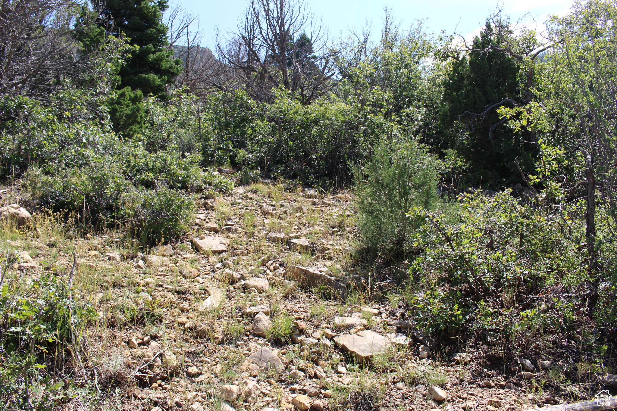 CEDAR HIGHLANDS SUBDIVISION - Land