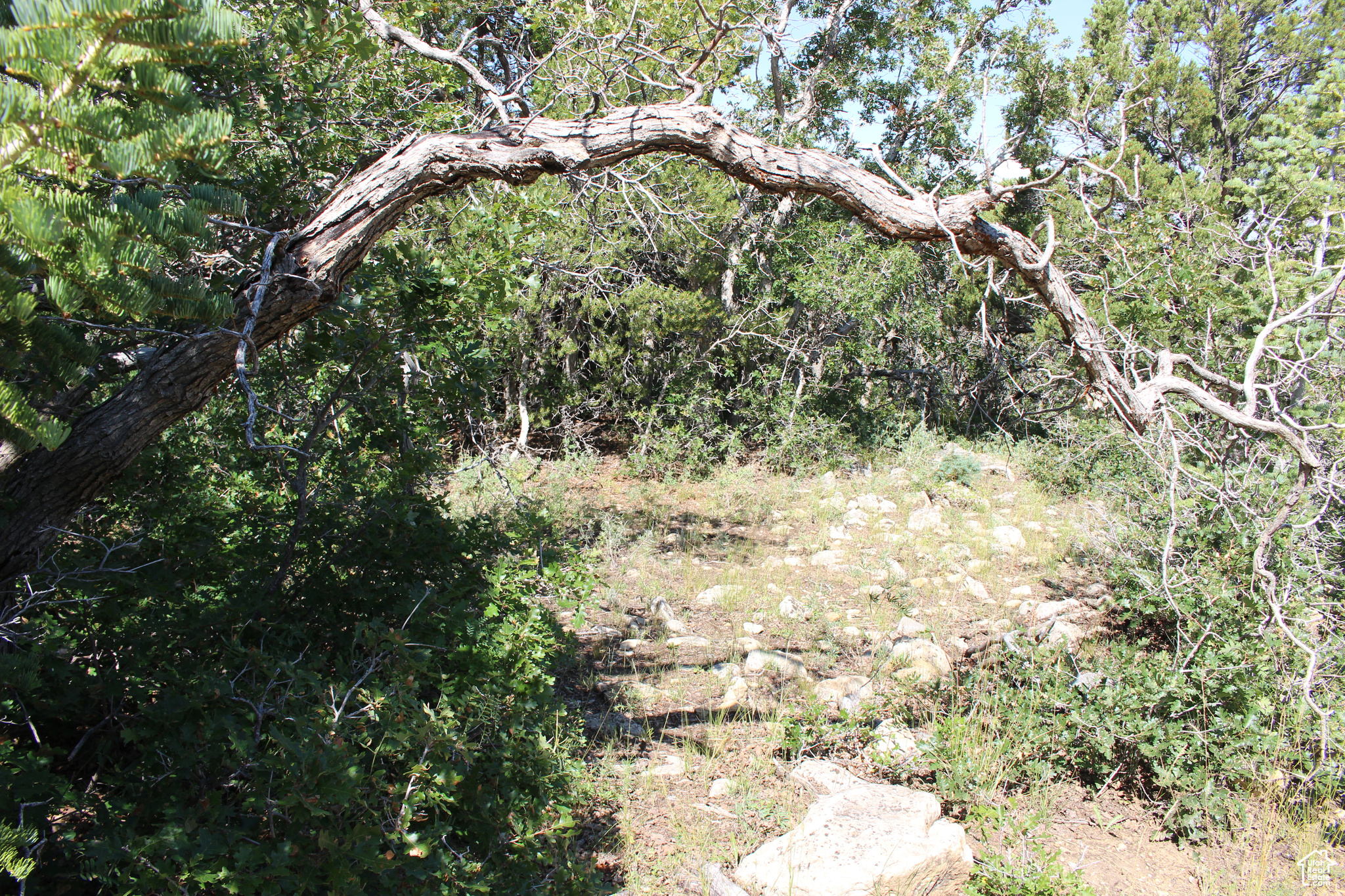 CEDAR HIGHLANDS SUBDIVISION - Land
