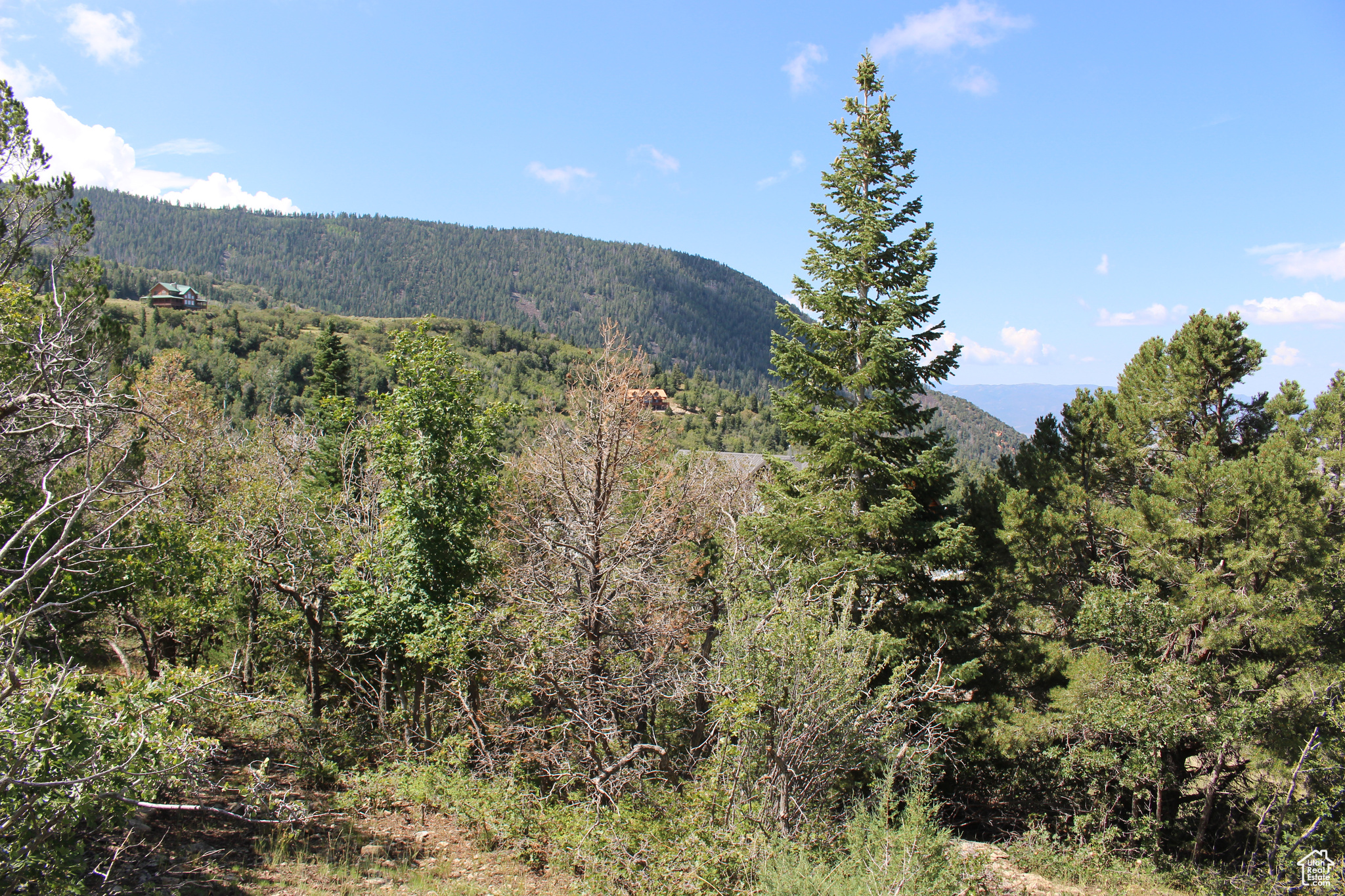 CEDAR HIGHLANDS SUBDIVISION - Land