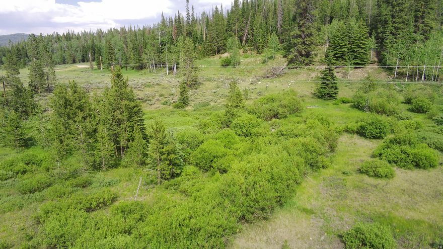 Located in the Christmas Meadows area of the Uinta Mountains, this property offers a prime setting within the gated Uinta Lands community. Ideally positioned near the community fishing pond and the gate providing direct access to the national forest and miles upon miles of recreational opportunities. The lot is thick with pines, lending a setting that feels private, quiet, and  off the beaten path.  The topography is ideal for  nestling a  cabin or tucking a trailer into the hillside.  A creek meanders through the lower portion of the lot creating a lush gathering place for moose, deer, and elk.  Community water is available, making this an even more desirable location to establish your mountain retreat.