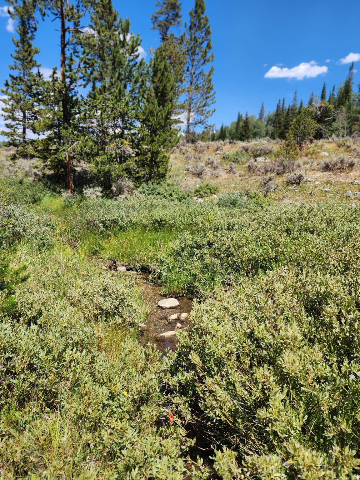 UINTALANDS SUB - Land