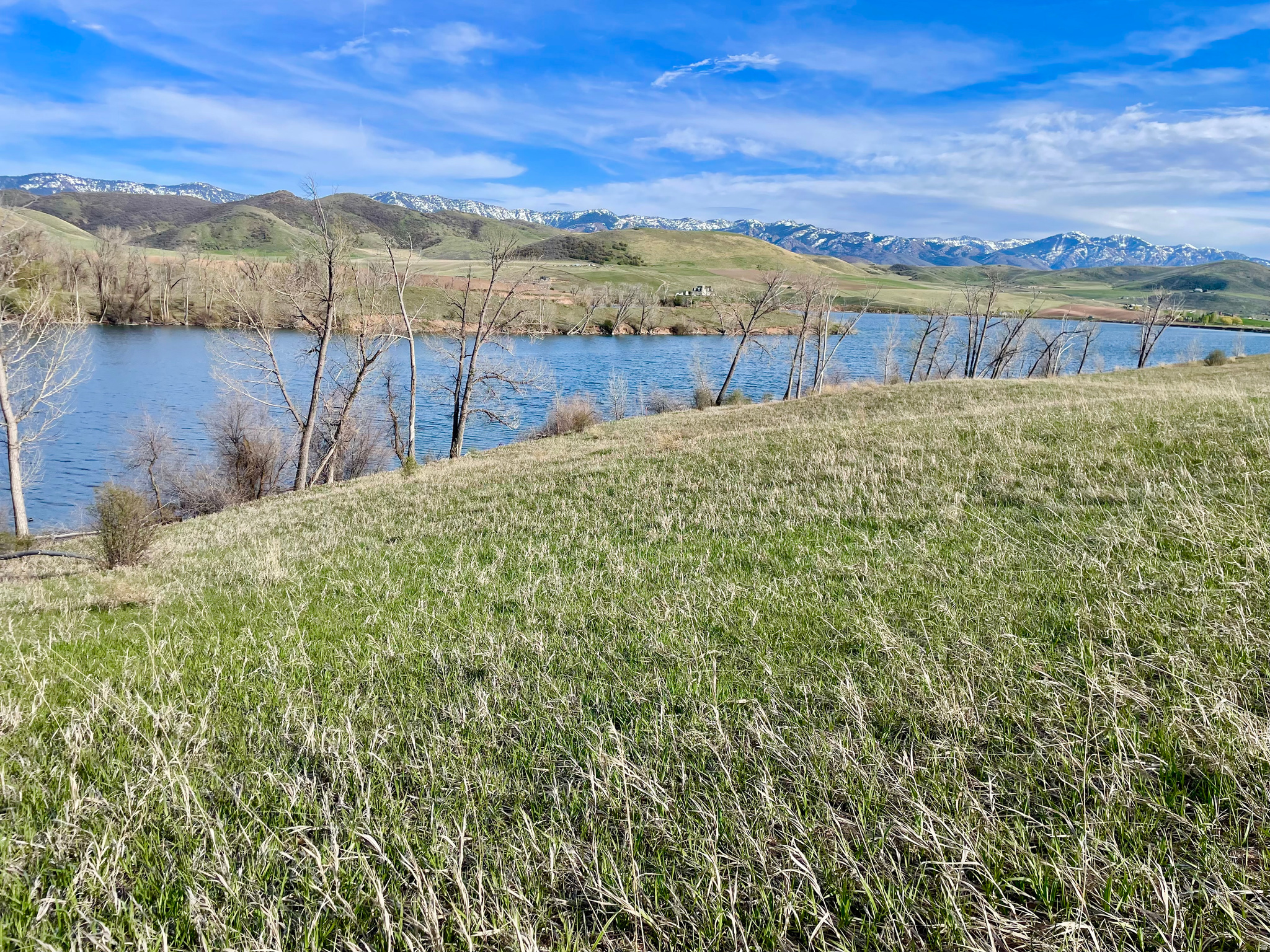 COTTONWOOD ESTATES SUBDIVISION - Land