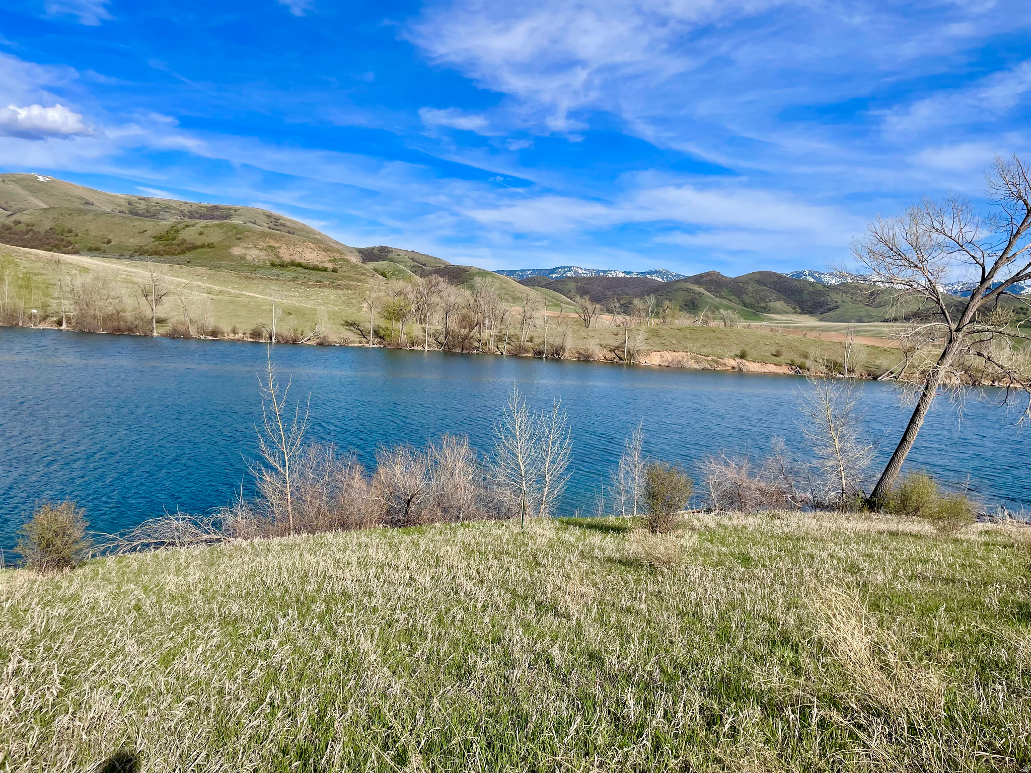COTTONWOOD ESTATES SUBDIVISION - Land
