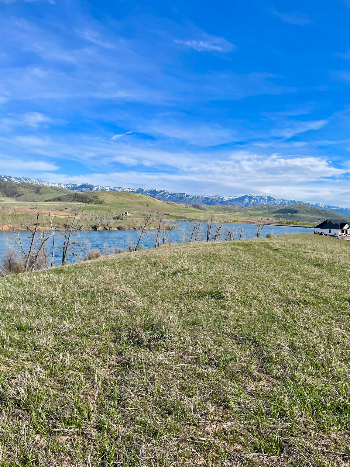 COTTONWOOD ESTATES SUBDIVISION - Land