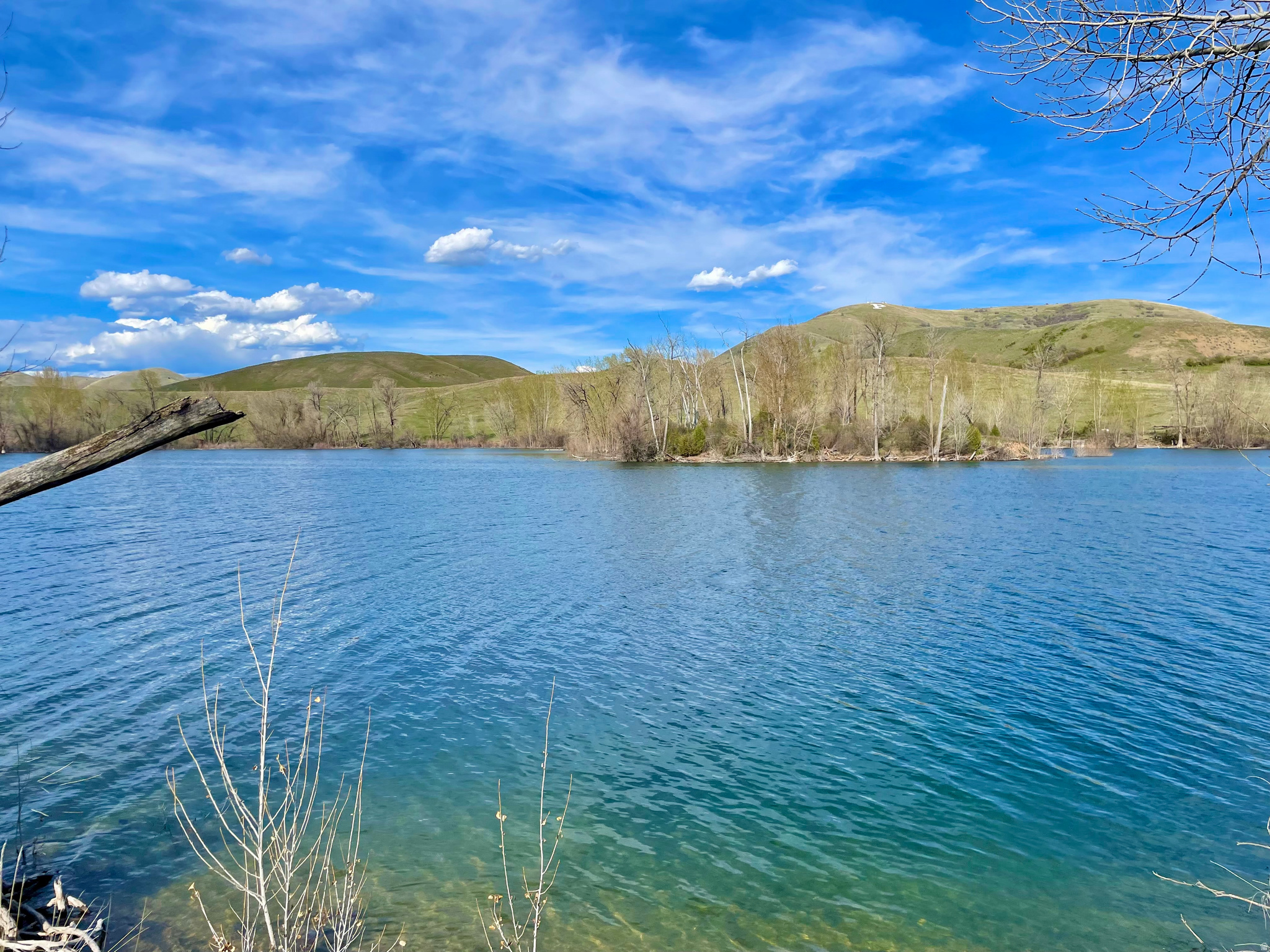COTTONWOOD ESTATES SUBDIVISION - Land