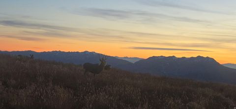 Tiny photo for 8495 E COBABE CT E, Eden, UT 84310 (MLS # 2121967)