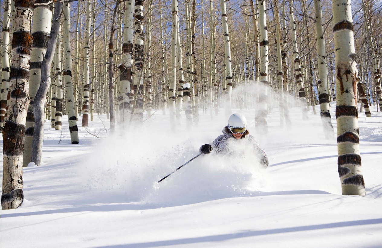 POWDER HAVEN/OVERLOOK - Residential