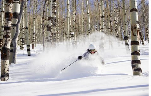 Tiny photo for 8495 E COBABE CT E, Eden, UT 84310 (MLS # 2121967)