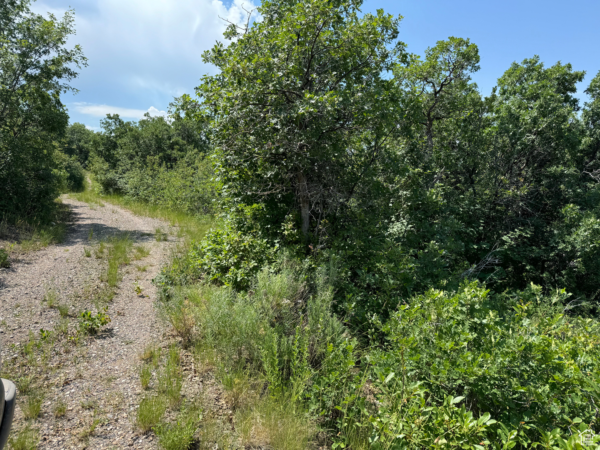 72 M. Juniper Dr #M-72, Fairview, Utah image 8