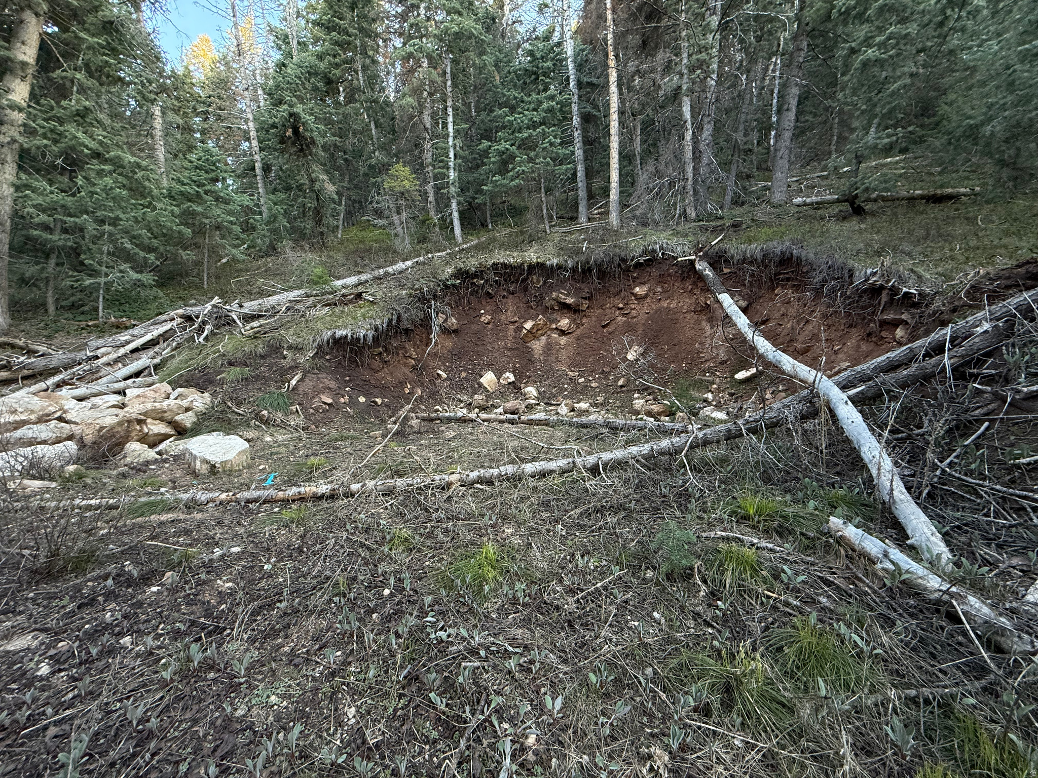 PINE CREEK RANCH - Land