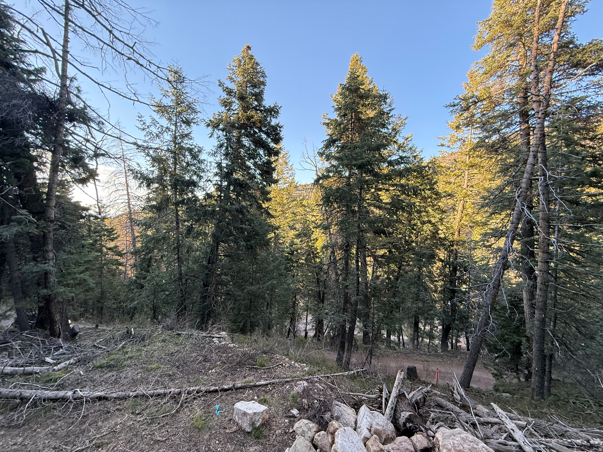 PINE CREEK RANCH - Land