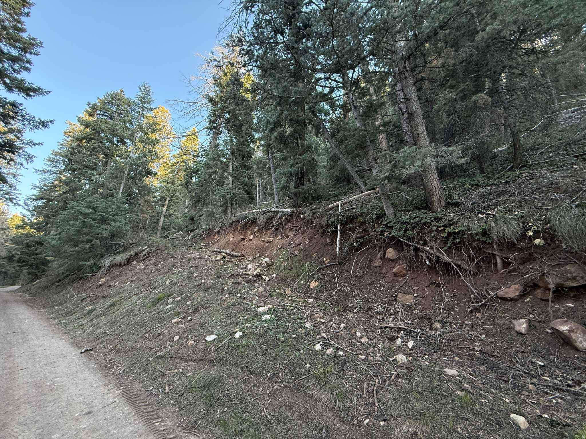 PINE CREEK RANCH - Land