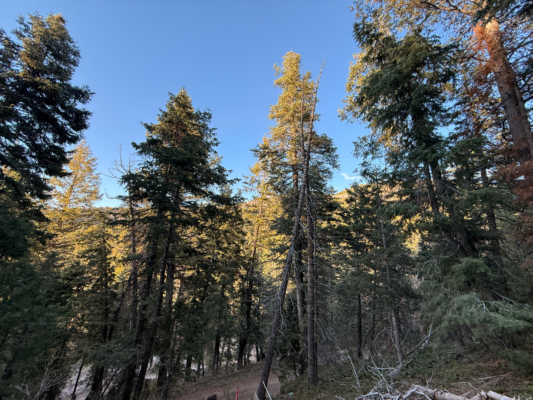 PINE CREEK RANCH - Land