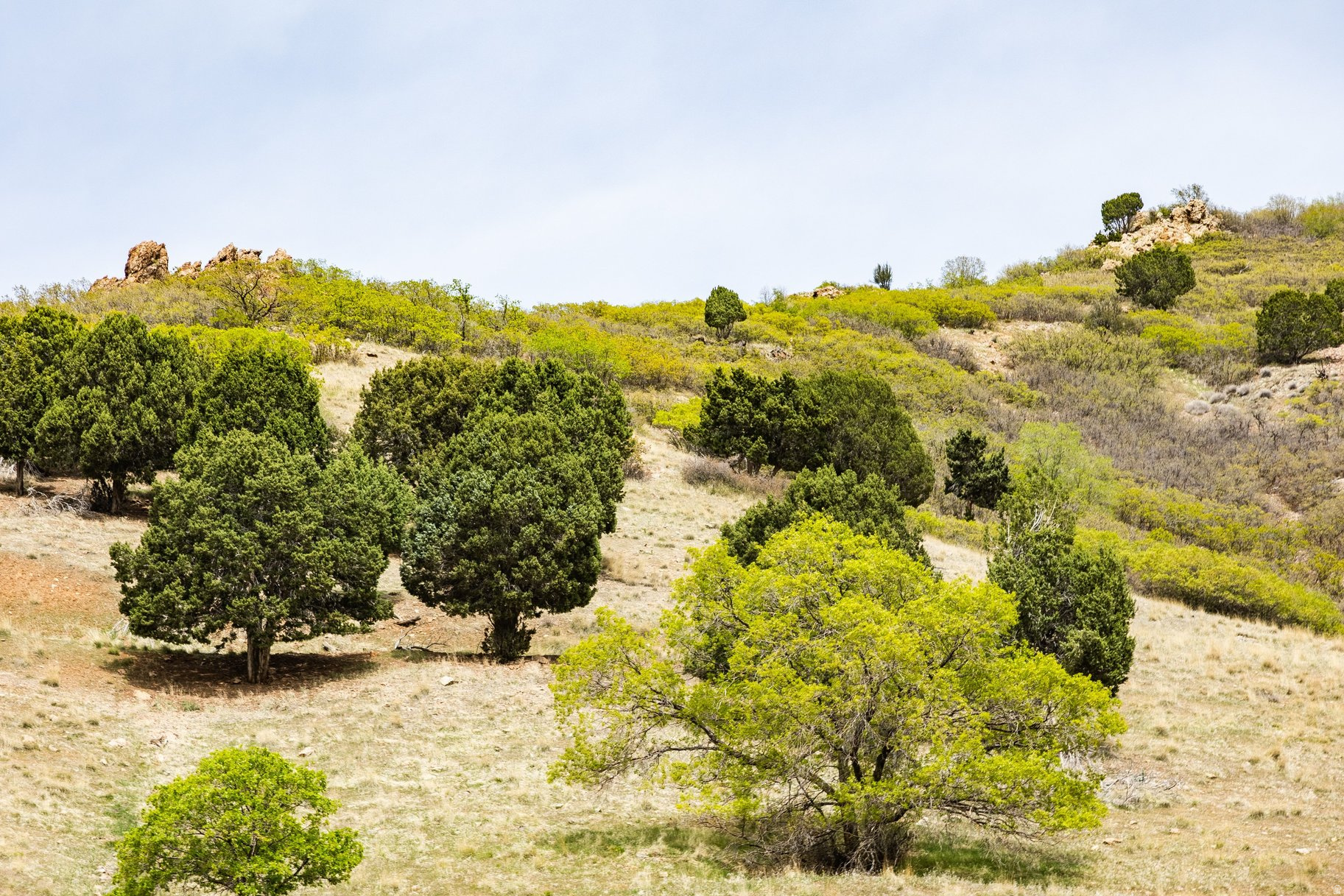 COTTONWOOD CANYON ES - Land