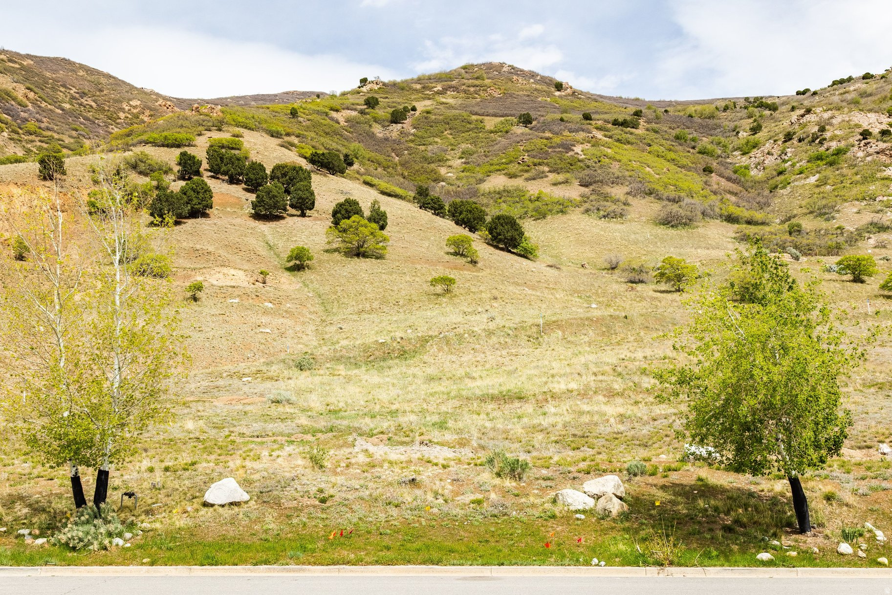 COTTONWOOD CANYON ES - Land