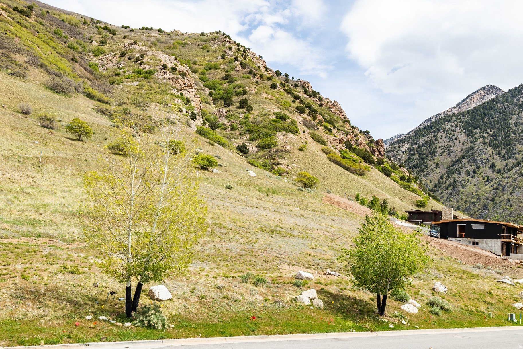 COTTONWOOD CANYON ES - Land