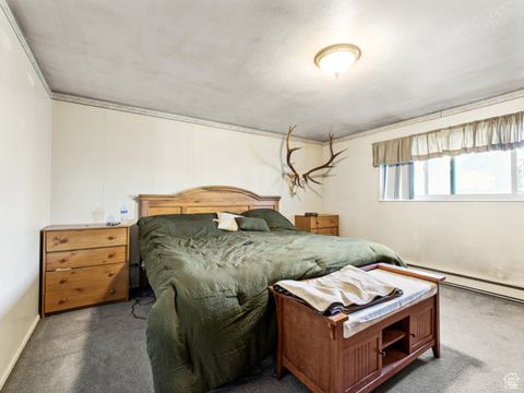 Tiny photo for 11437 W HIGHWAY 6, Goshen, UT 84633 (MLS # 2115527)
