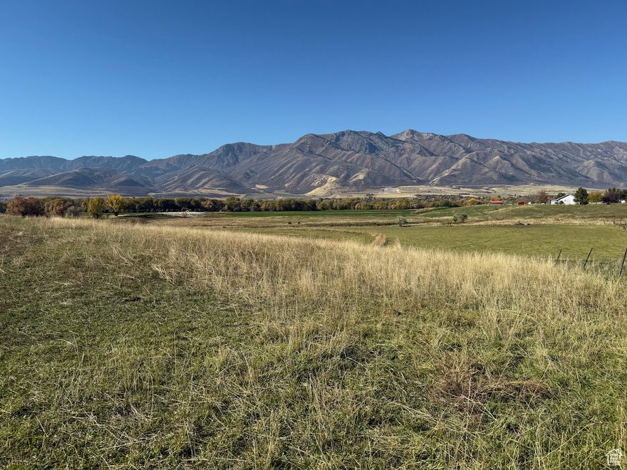 10.76 Acres of Prime Land in Wellsville! Discover endless potential with this beautiful 10.76-acre property nestled on the south end of Cache Valley. Currently used as pasture land, this scenic parcel offers breathtaking views of the Wellsville Mountains and the perfect blend of country tranquility and convenience. Ideally located on Highway 101 between Wellsville and Hyrum, with quick access to Hwy 89/91, this property is a rare find for those looking to possibly build, invest, or expand agricultural use. 3 Irrigation shares included. Buyer to verify all information.