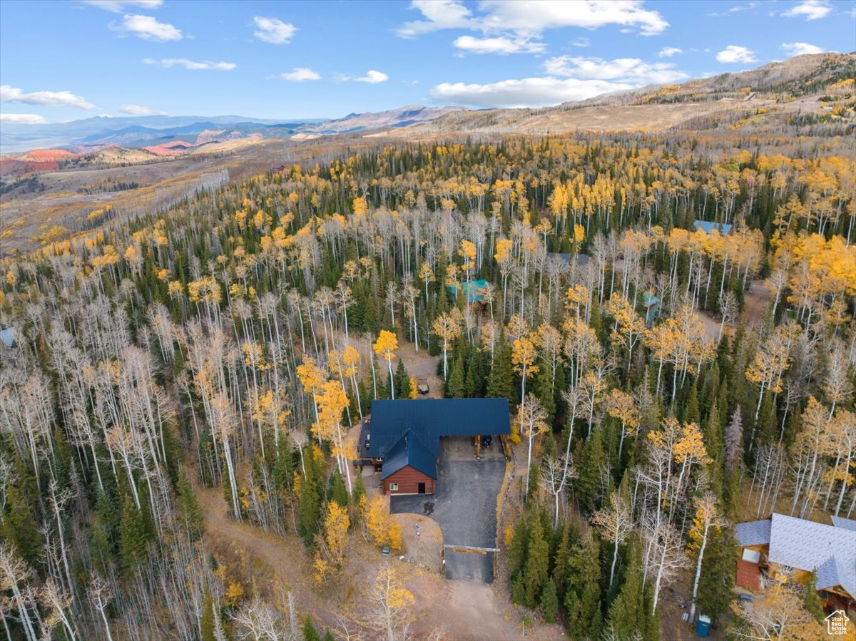 320 N Rue Jolley Rd, Brian Head, Utah image 49