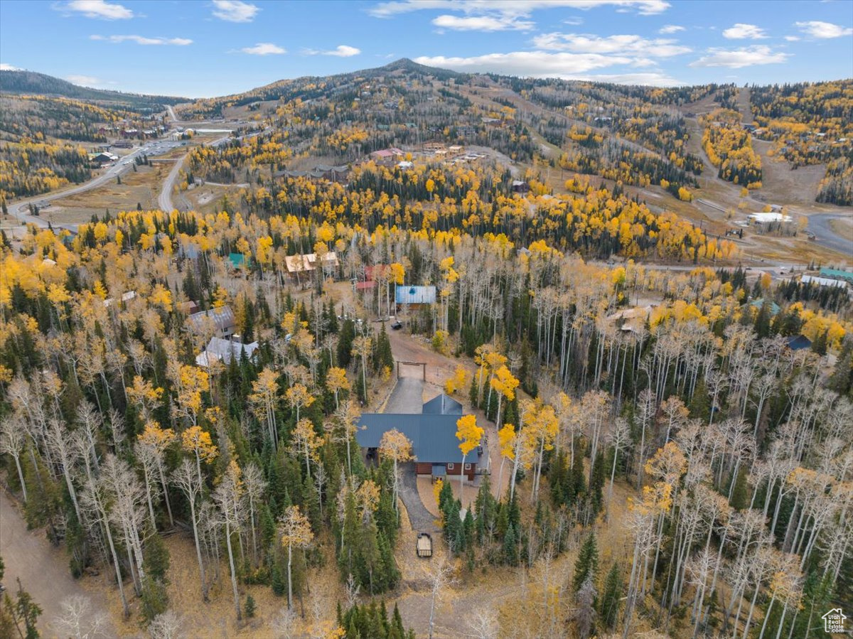 320 N Rue Jolley Rd, Brian Head, Utah image 46