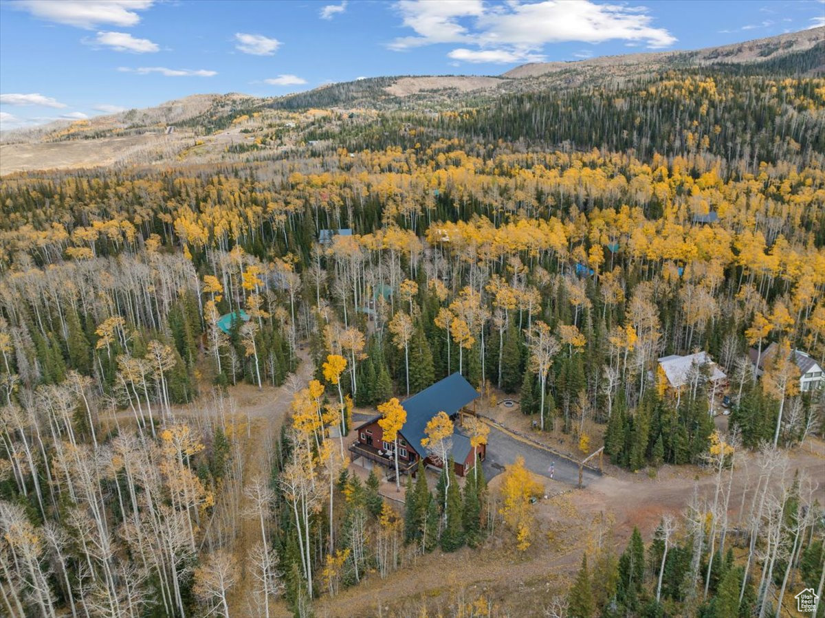 320 N Rue Jolley Rd, Brian Head, Utah image 48