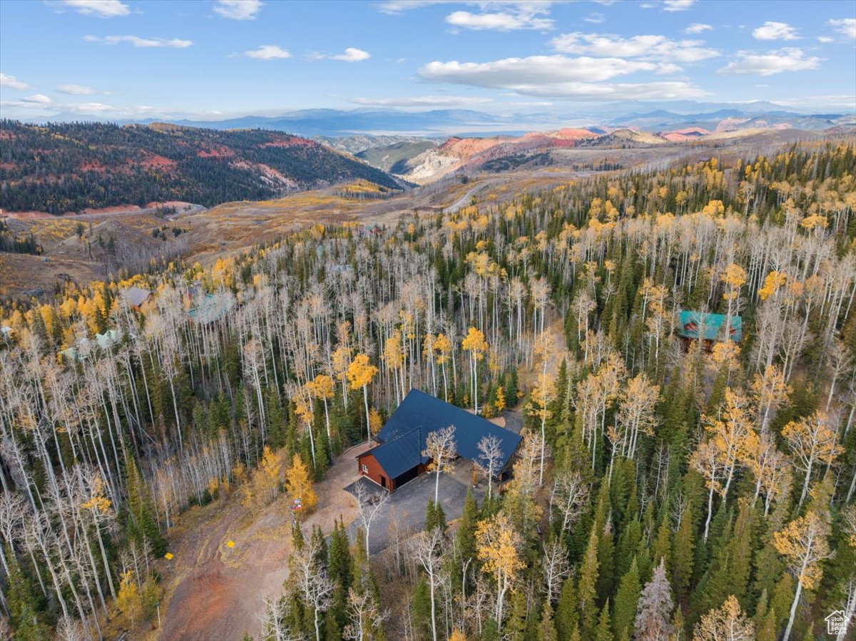 320 N Rue Jolley Rd, Brian Head, Utah image 50