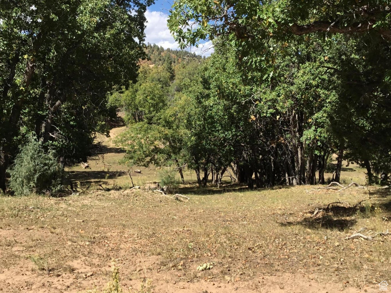 Ac County Rd, Duck Creek Village, Utah image 36