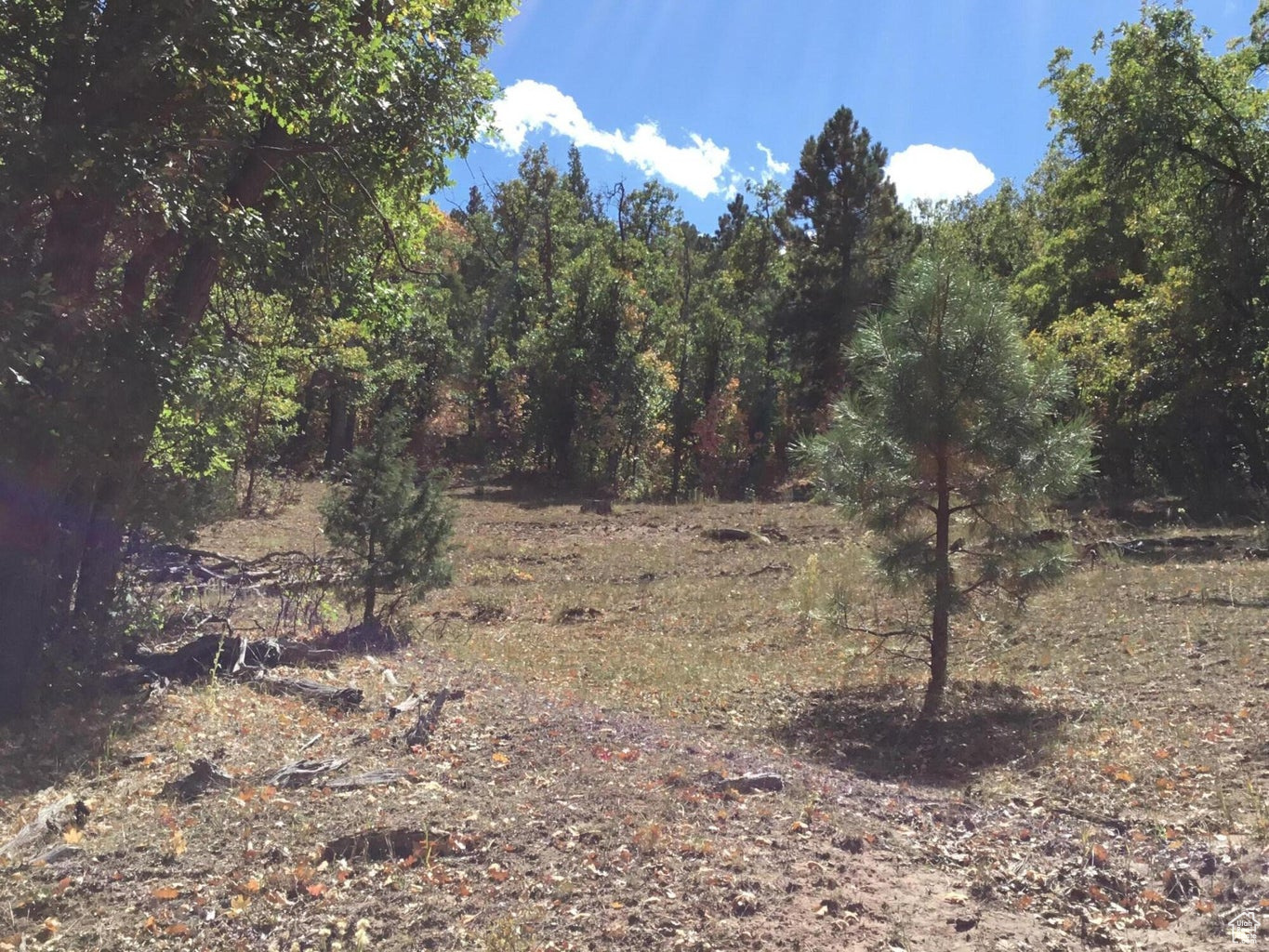 Ac County Rd, Duck Creek Village, Utah image 23