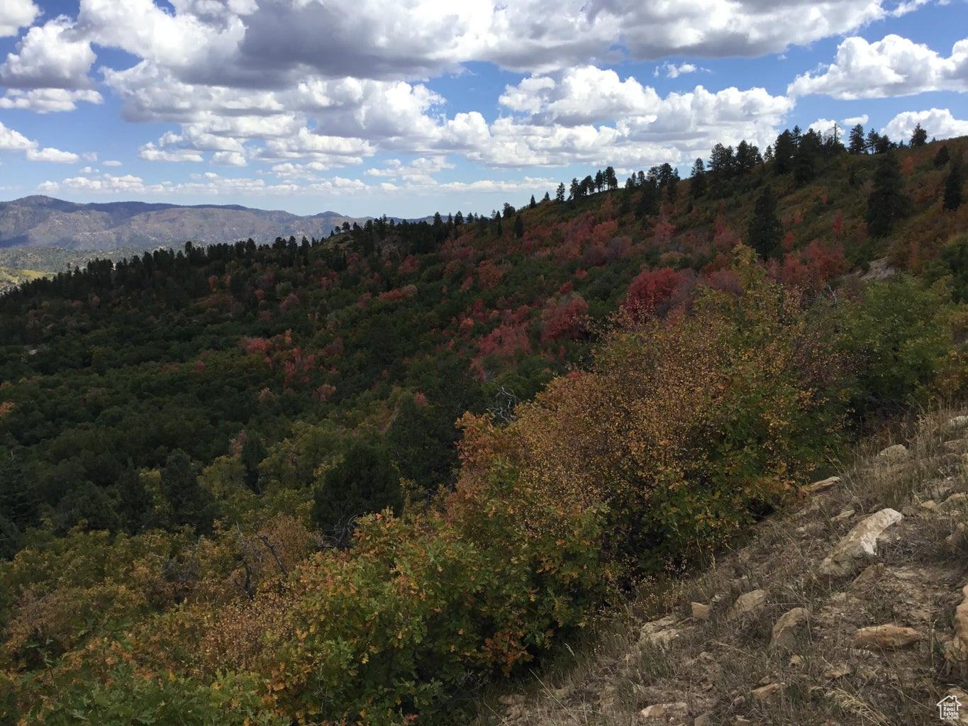 Ac County Rd, Duck Creek Village, Utah image 32