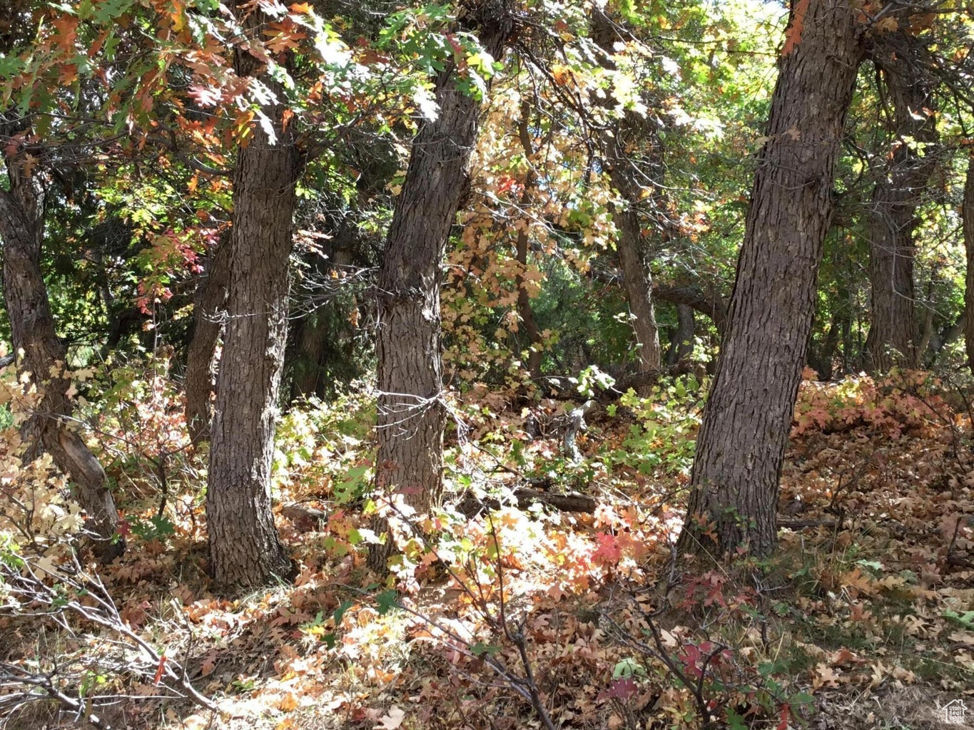 Ac County Rd, Duck Creek Village, Utah image 27
