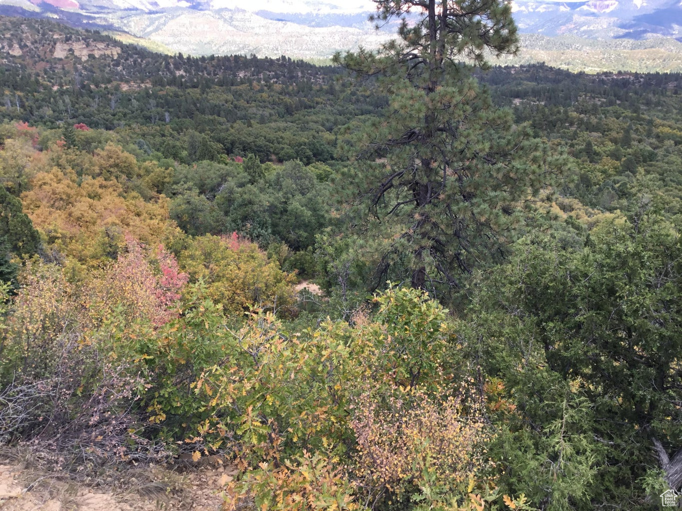 Ac County Rd, Duck Creek Village, Utah image 31