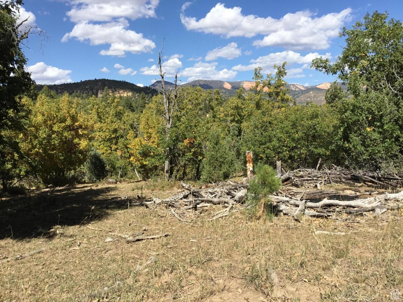 Ac County Rd, Duck Creek Village, Utah image 20
