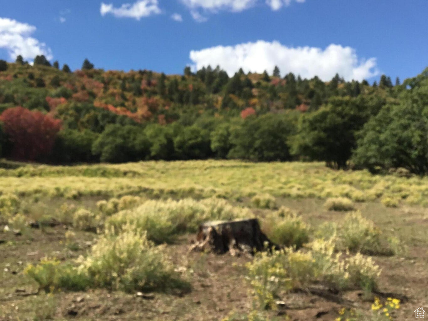 Ac County Rd, Duck Creek Village, Utah image 10