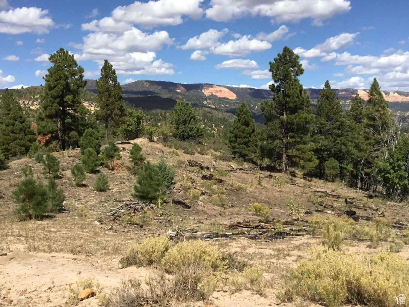 Ac County Rd, Duck Creek Village, Utah image 26