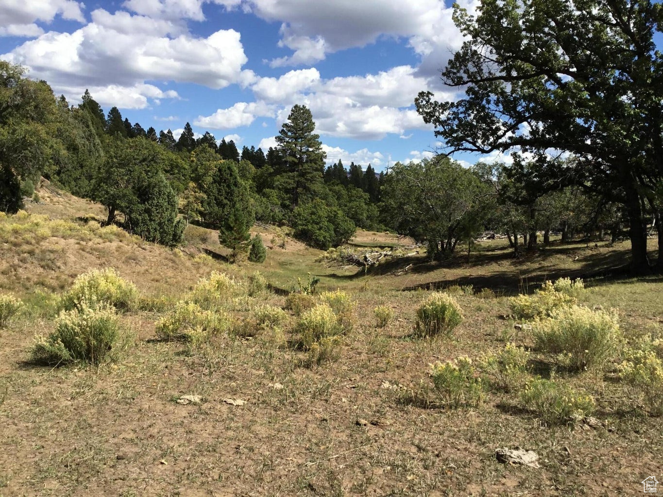 Ac County Rd, Duck Creek Village, Utah image 18