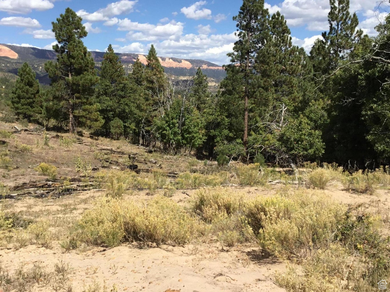 Ac County Rd, Duck Creek Village, Utah image 28