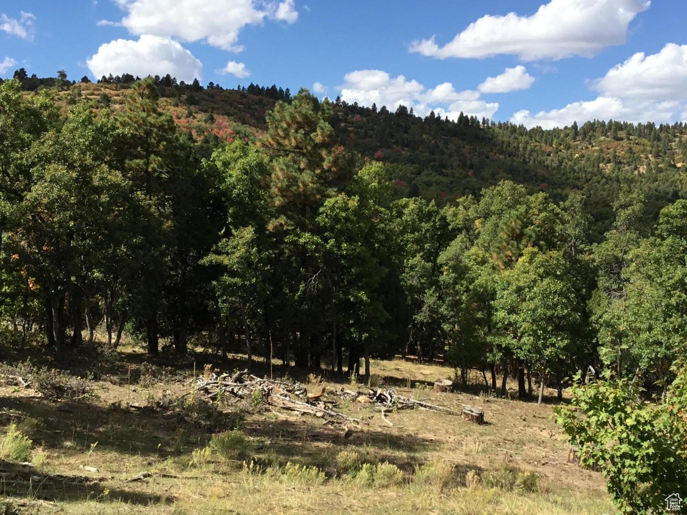 Ac County Rd, Duck Creek Village, Utah image 7