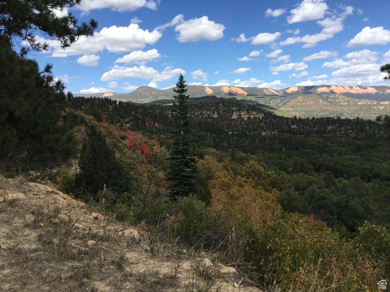 Ac County Rd, Duck Creek Village, Utah image 33