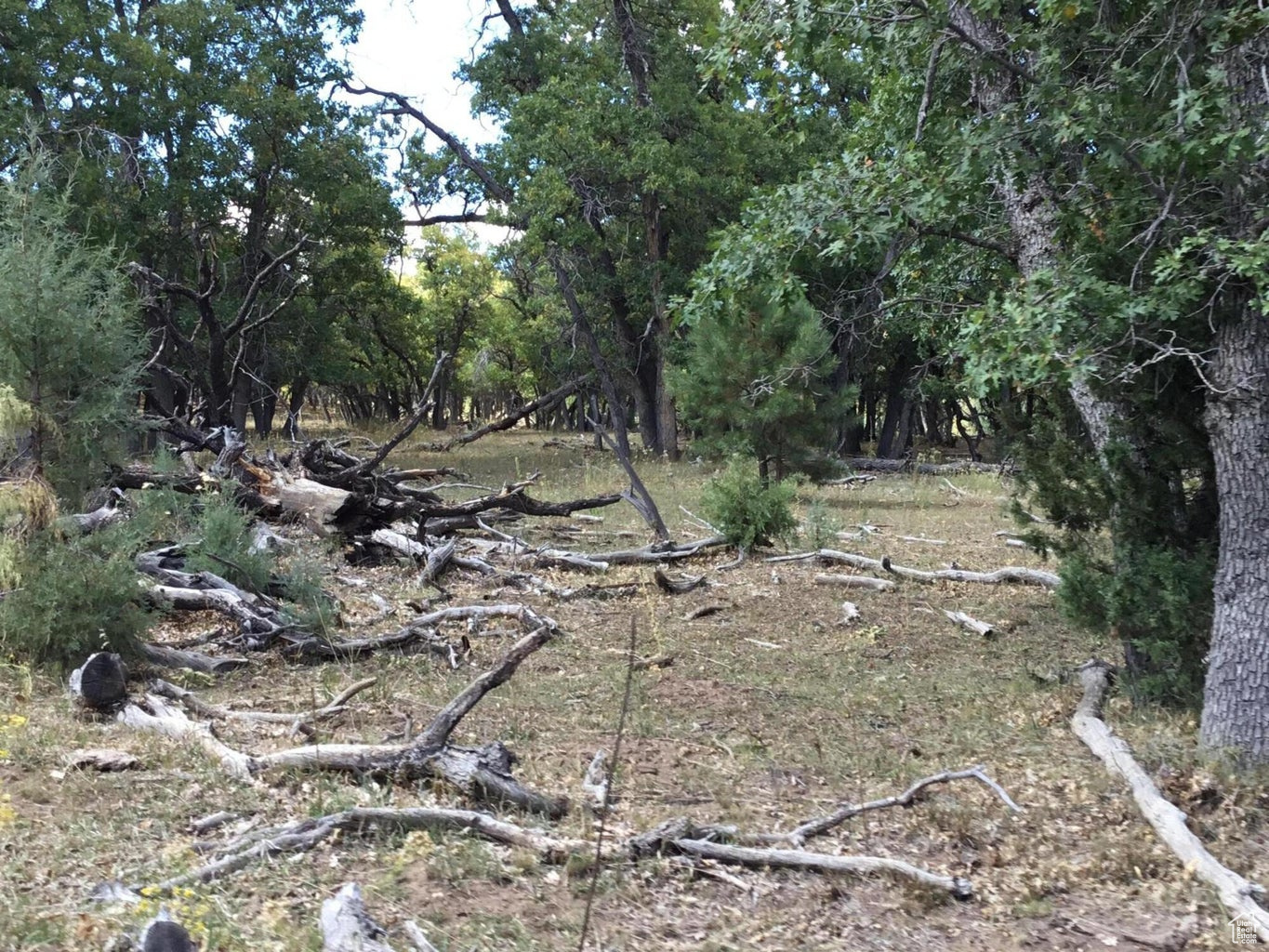 Ac County Rd, Duck Creek Village, Utah image 11