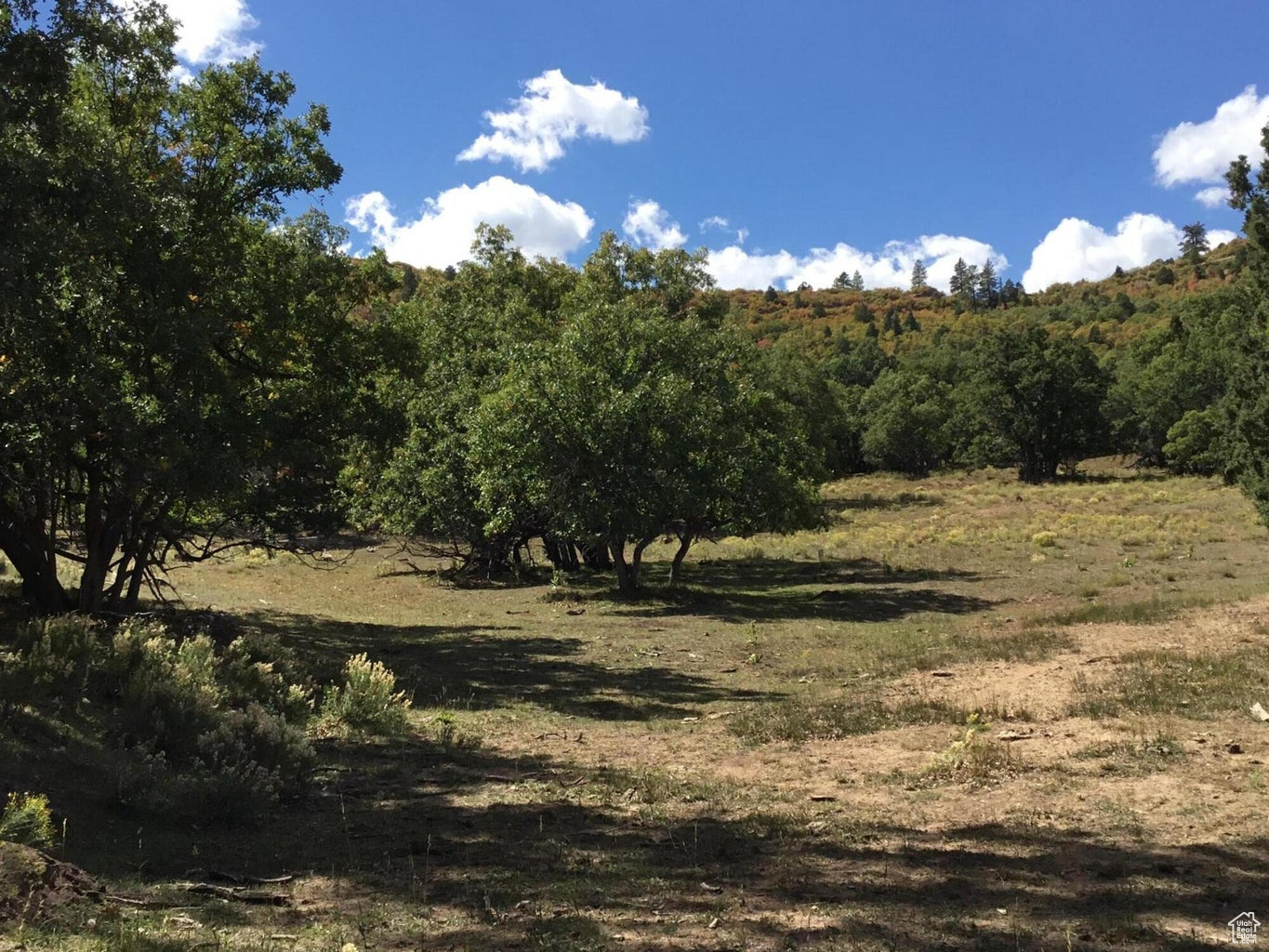Ac County Rd, Duck Creek Village, Utah image 24