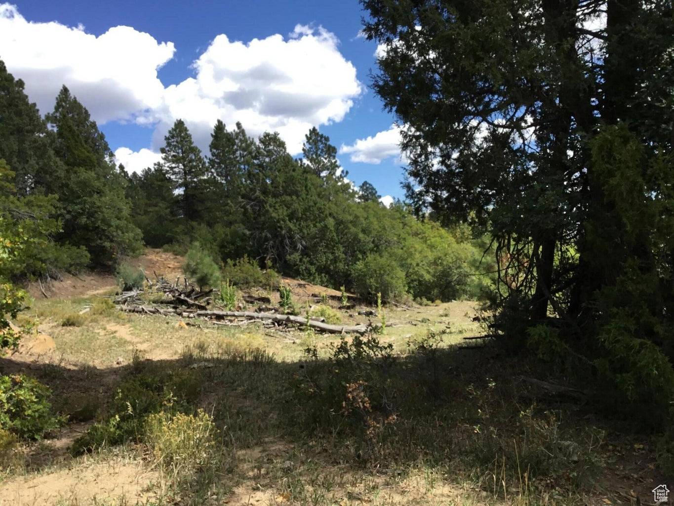 Ac County Rd, Duck Creek Village, Utah image 16