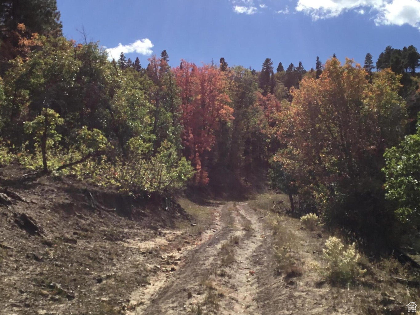 Ac County Rd, Duck Creek Village, Utah image 8