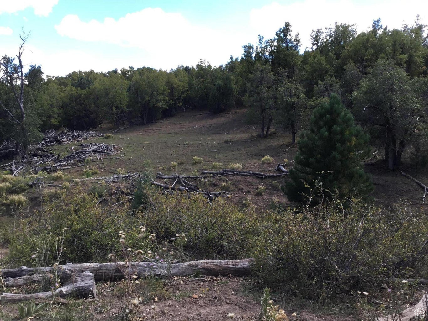 Ac County Rd, Duck Creek Village, Utah image 17
