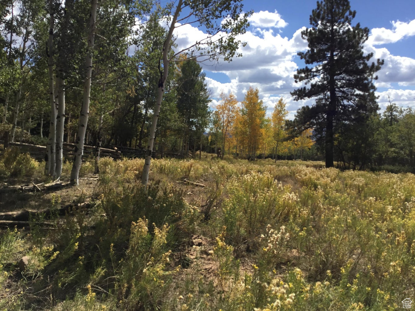 Ac County Rd, Duck Creek Village, Utah image 35