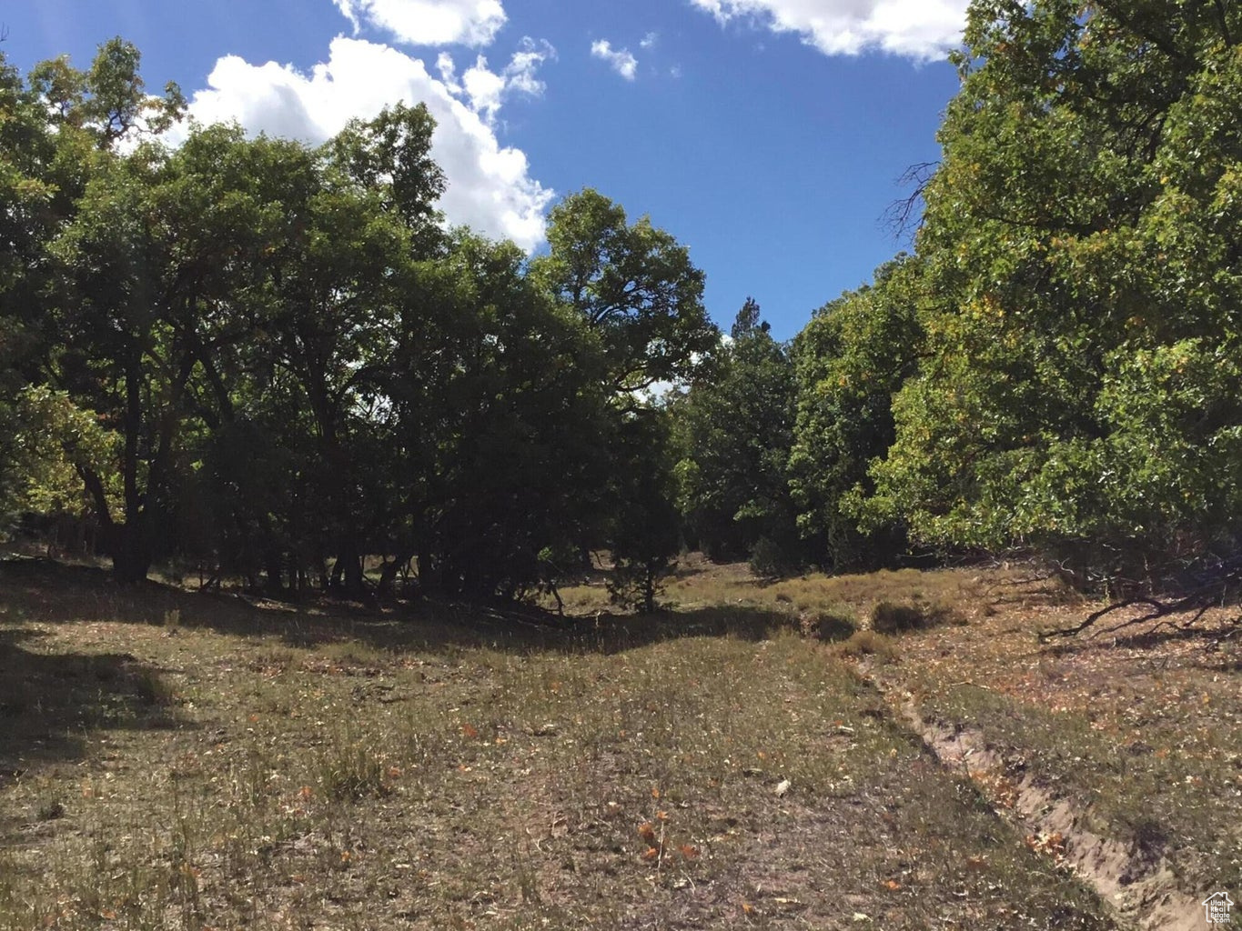 Ac County Rd, Duck Creek Village, Utah image 12