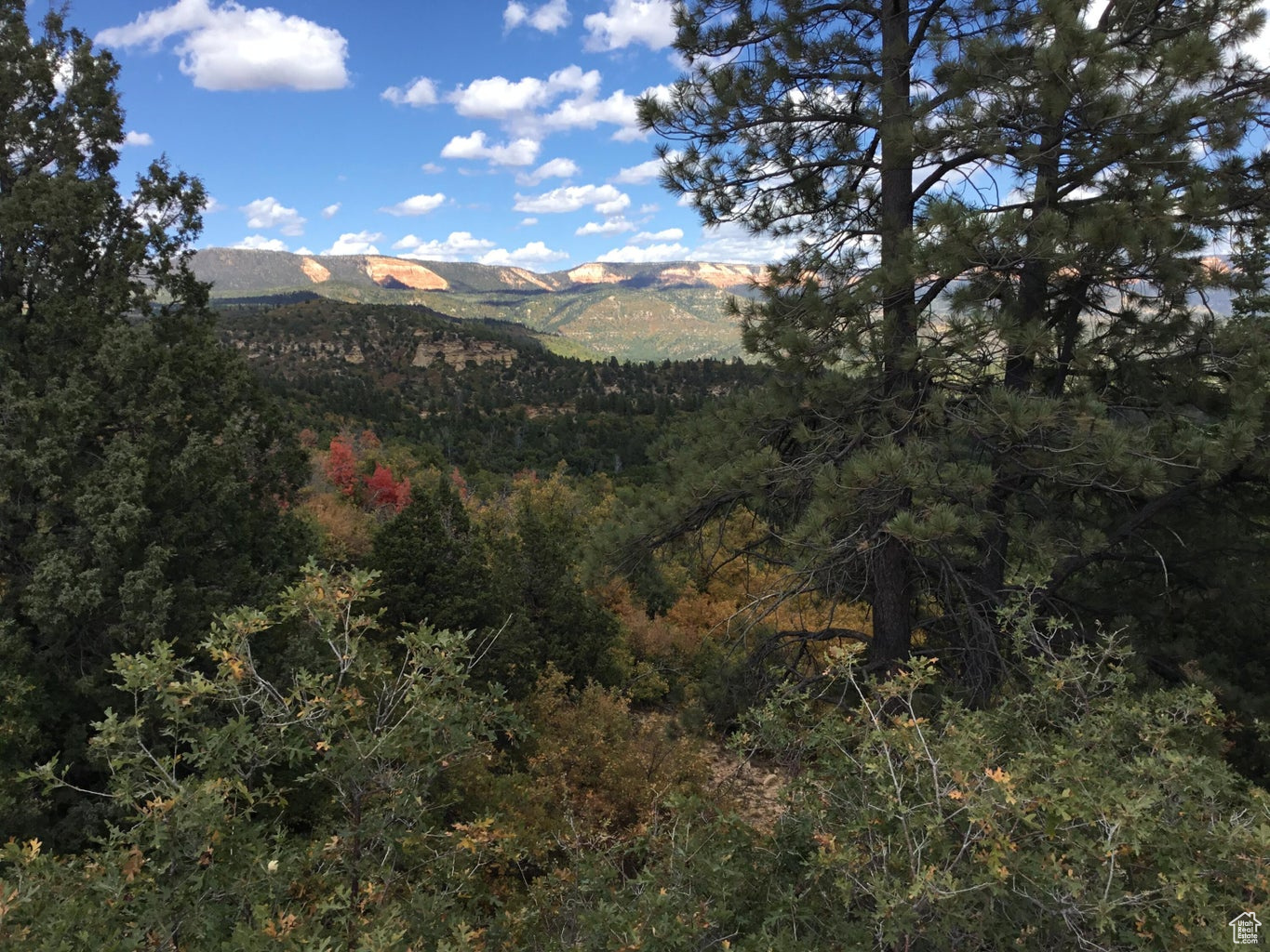 Ac County Rd, Duck Creek Village, Utah image 34
