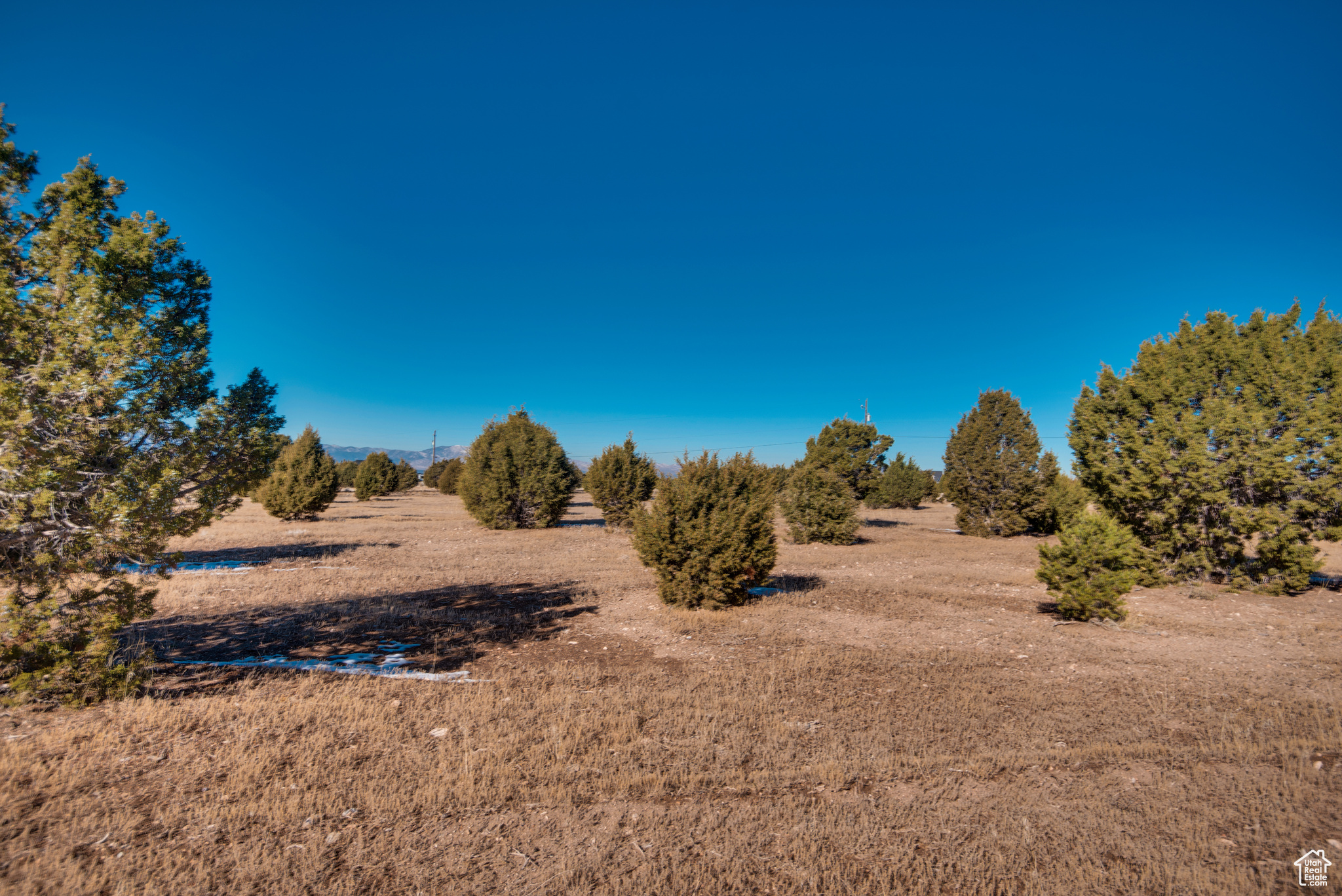 2875 E 3000 First Spring Rd #20, Beaver, Utah image 3