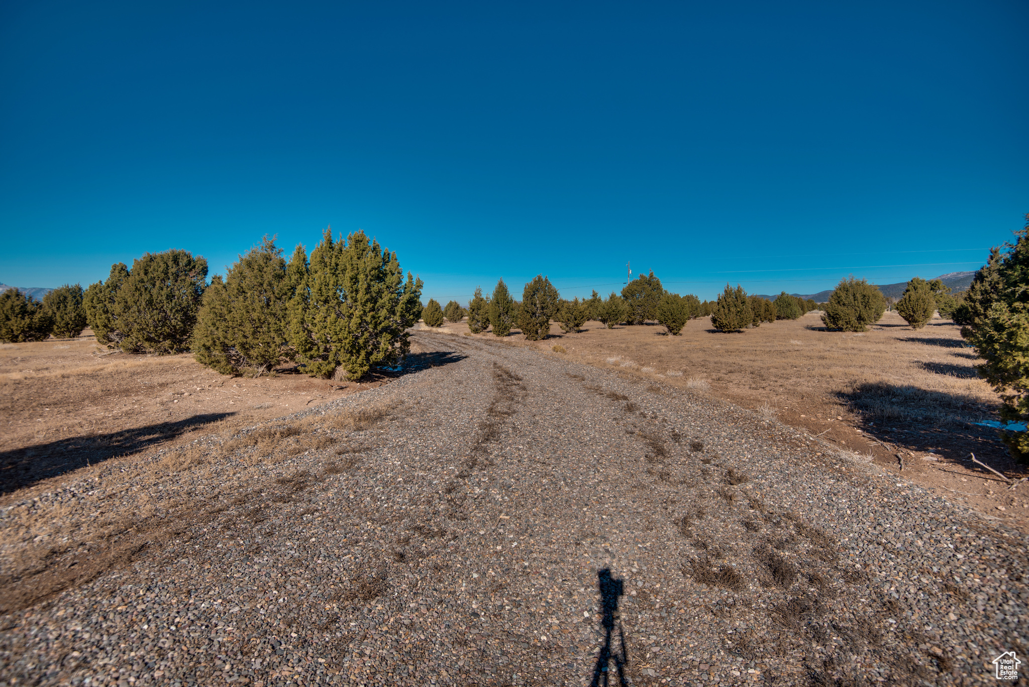 2875 E 3000 First Spring Rd #20, Beaver, Utah image 6